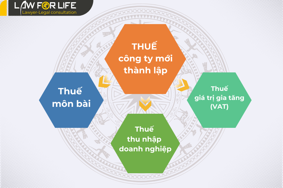 Các loại thuế cơ bản phải kê khai và đóng sau khi thành lập công ty?