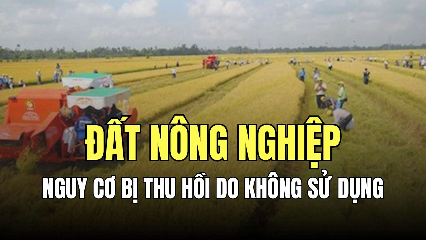 4 trường hợp đất không sử dụng sẽ bị thu hồi