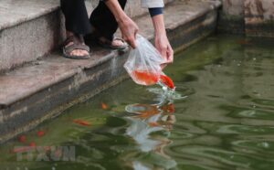 Cúng ông công ông táo đúng luật để không bị xử phạt