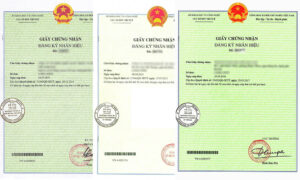 Thay đổi tên công ty: Cần sửa đổi đơn đăng ký nhãn hiệu không?