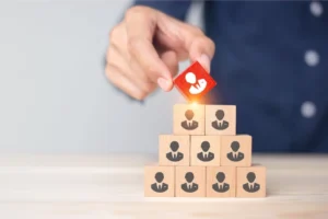 Lao động hợp đồng có được hưởng chế độ thôi việc theo Nghị định 178/2024/NĐ-CP?